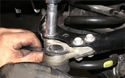 Shocks and Ball Joints
